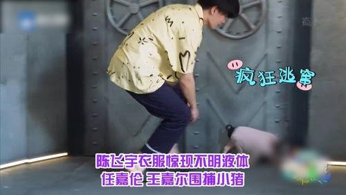 李晨爆料陈飞宇视频合集,视频合集大揭秘  第2张